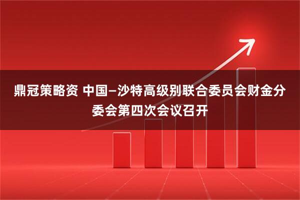 鼎冠策略资 中国—沙特高级别联合委员会财金分委会第四次会议召开
