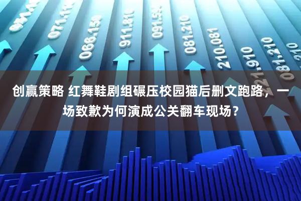 创赢策略 红舞鞋剧组碾压校园猫后删文跑路，一场致歉为何演成公关翻车现场？