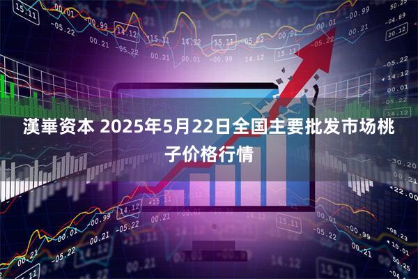 漢崋资本 2025年5月22日全国主要批发市场桃子价格行情