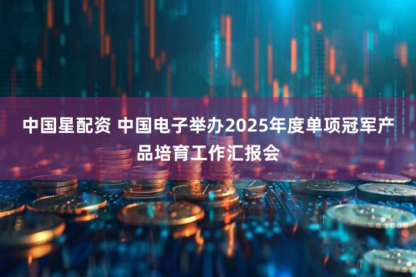 中国星配资 中国电子举办2025年度单项冠军产品培育工作汇报会